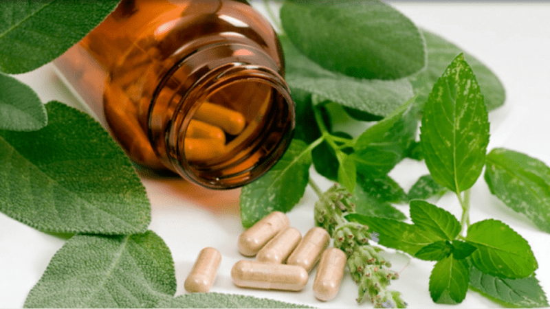 7 Most Common Homeopathy Medicines that You Should Know About