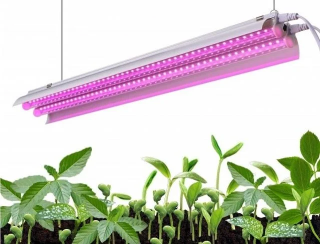 How To Make The Most Out Of LED Grow Lights?